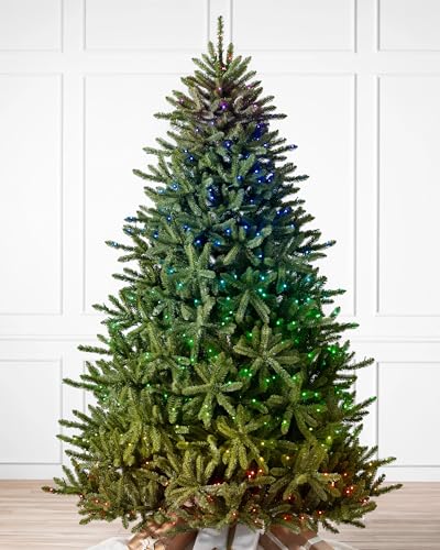 Balsam Hill künstlicher Weihnachtsbaum – Blaufichte - 2