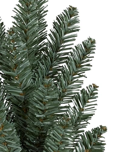 Balsam Hill künstlicher Weihnachtsbaum – Blaufichte - 4