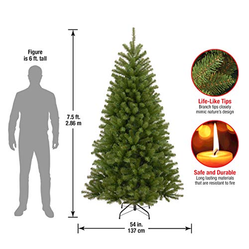 National Tree Company North Valley Fichte - 6