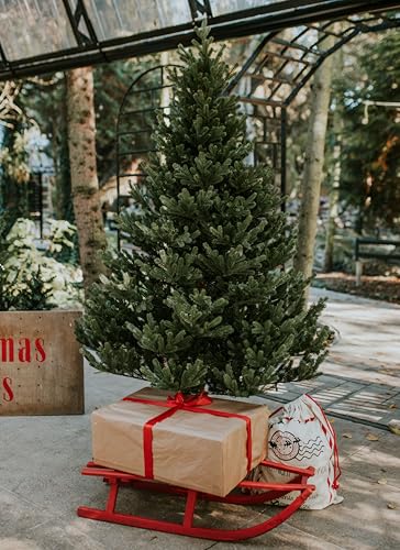 TreesHouse Spritzguss Nordmanntanne 150 cm - 7