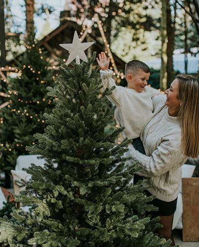 TreesHouse Scandinavian Spruce Weihnachtsbaum - 2