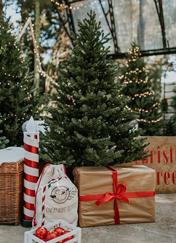 TreesHouse Scandinavian Spruce Weihnachtsbaum - 9