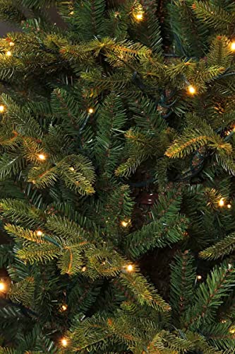 Black Box Trees Frasier Weihnachtsbaum - 6