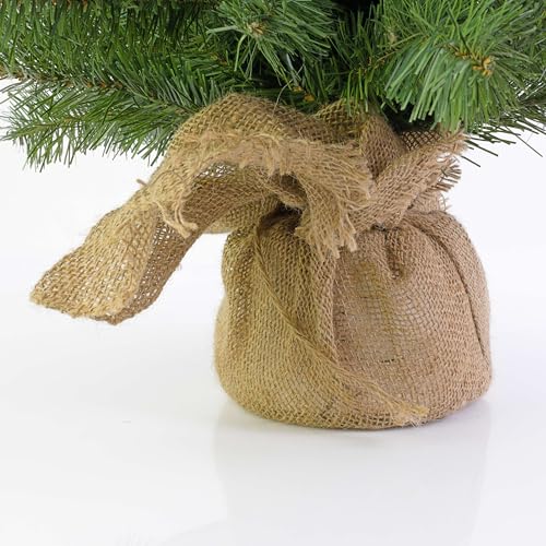 Artplants Mini Weihnachtsbaum Warschau - 4