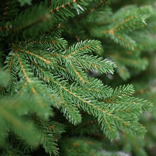 Artplants künstlicher Weihnachtsbaum Mailand Speed - 2